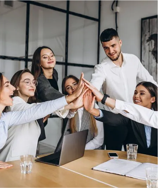 Financial Advisory Team